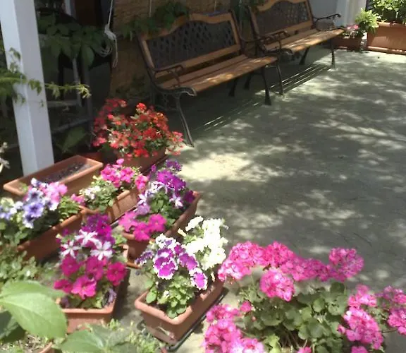 Apartman Verdemare Naxos *